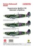 Techmod 72044 - Supermarine Spitfire F.IX (Gabreski’s Spitfires) (1:72)